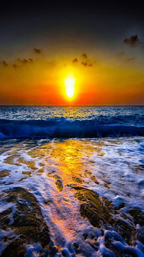 Imo's Pizza gift card