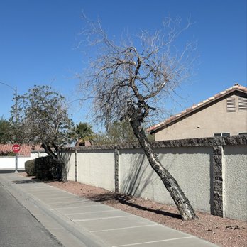 Moon Sun Landscapes - Equestrian and Magic way - Landscaping Near Me - Las Vegas, Nevada Moon Sun Landscapes - Equestrian and Magic way - Landscaping Near Me - Las Vegas, Nevada