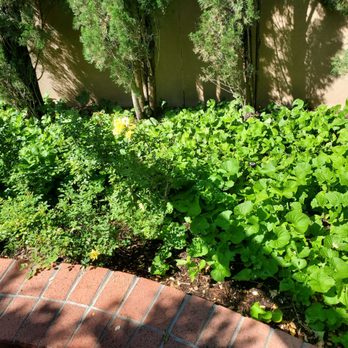 ABQ BioPark Zoo - Zoos Near Me - Albuquerque, New Mexico