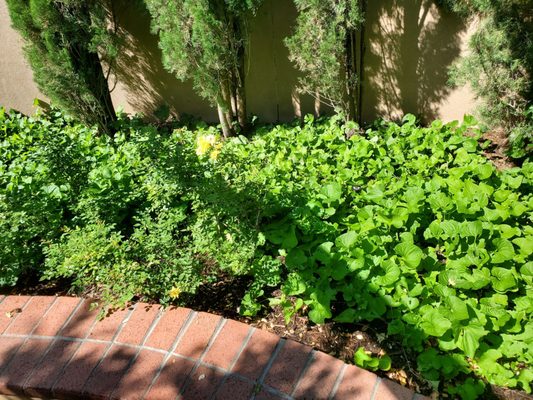 ABQ BioPark Zoo by null