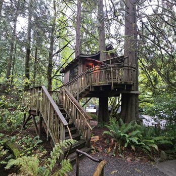 TreeHouse Point - Upper Pond - Bed & Breakfast Near Me - Issaquah, Washington