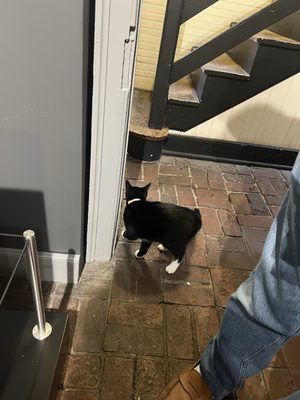 The Poe Museum by null