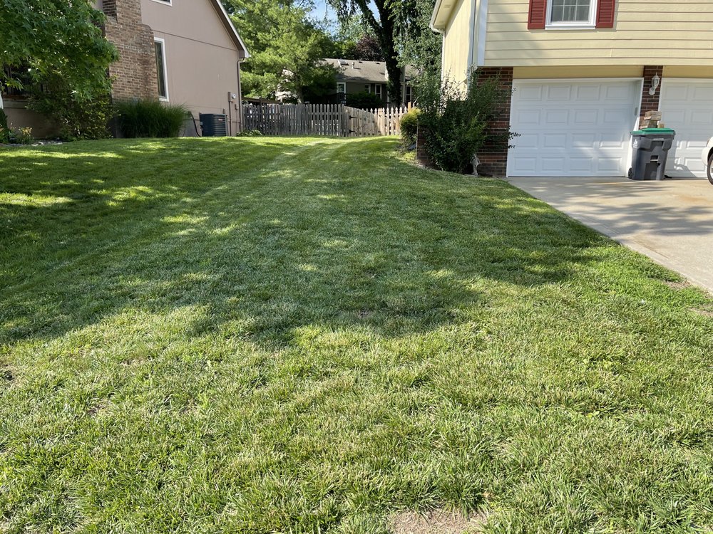 Bravo Zulu Lawn Care - veterans service organization in Blue Springs, MO