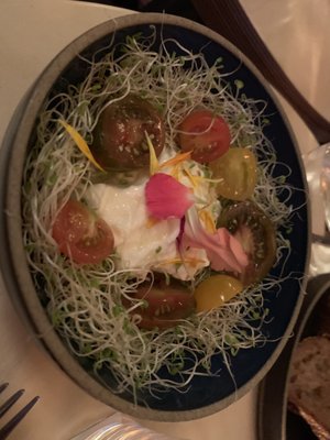 Kensho hollywood by null