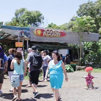 Twin Falls Farm Stand - Fruits & Veggies Near Me - Haiku, Hawaii