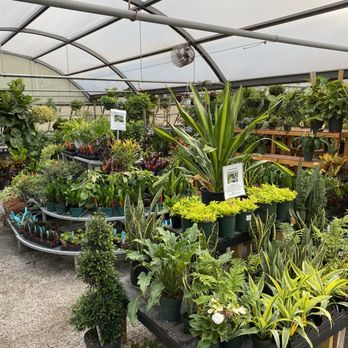 Great Swamp Greenhouses - House plants - Nurseries & Gardening Near Me - Gillette, New Jersey Great Swamp Greenhouses - House plants - Nurseries & Gardening Near Me - Gillette, New Jersey