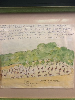 Museum of the Everglades by null