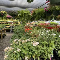 Godley's Garden Center & Nursery