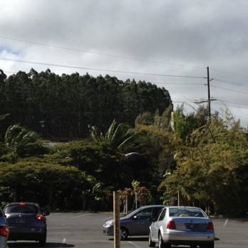 Tex Drive In - View of plume of trees towards highway, from outside patio - Fast Food Near Me - Honokaa, Hawaii Tex Drive In - View of plume of trees towards highway, from outside patio - Fast Food Near Me - Honokaa, Hawaii