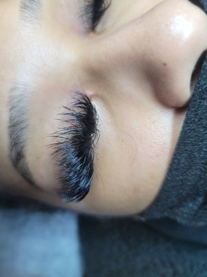 Virtue Lash by null