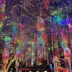 Ayala Triangle Gardens