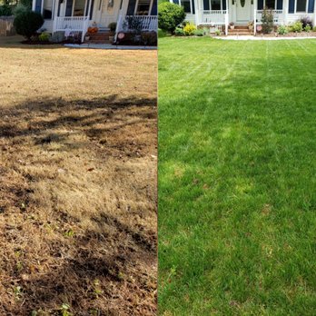 Mother Nature's Assistant - Before and after - Landscaping Near Me Mother Nature's Assistant - Before and after - Landscaping Near Me