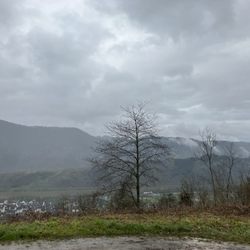 Aussichtspunkt Kurve