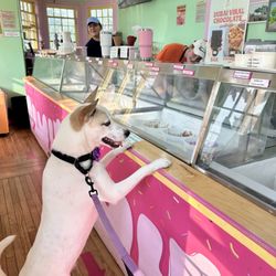 Somebody wanted ice cream