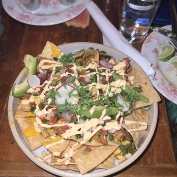 Tacology - Mexican Near Me - Miami, Florida Tacology - Mexican Near Me - Miami, Florida