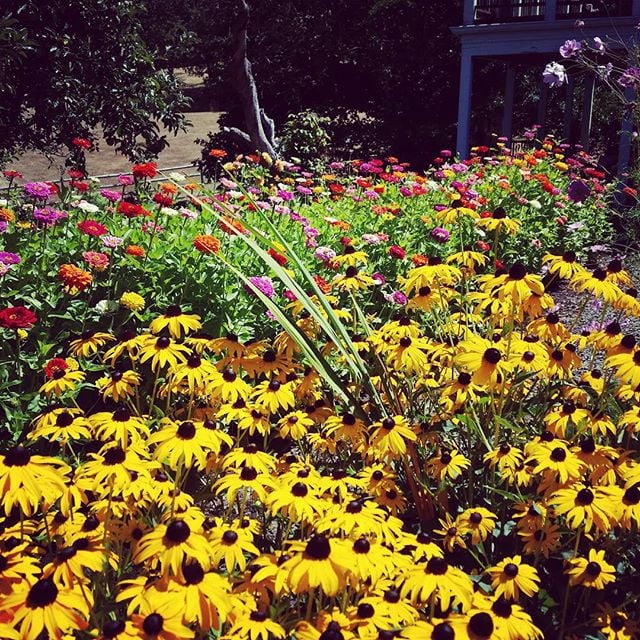 Way To Gro Compost Tea Spray Service - tree service in Eugene, OR