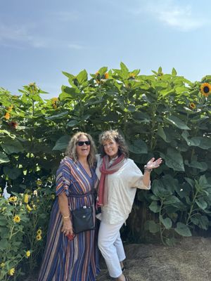 Billings Farm & Museum by null Billings Farm & Museum by null