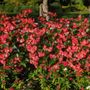 Photo of Ogden Botanical Gardens