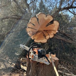 Ralston’s Tree and Firewood Services - Tree removal services
