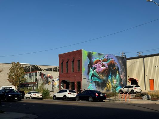 Denver Graffiti Tour by null