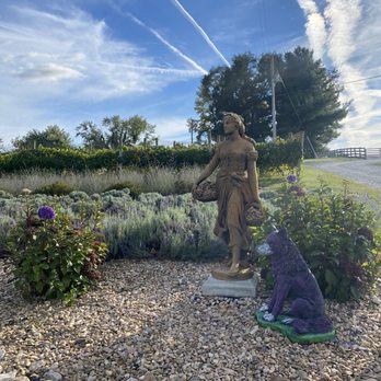 Purple Wolf Vineyard - Wine Tasting Room Near Me - Harrisonburg, Virginia