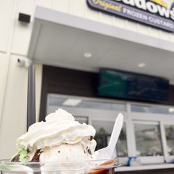 The Meadows Original Frozen Custard - Mint Oreo, chocolate, and vanilla custard. Brownie sundae