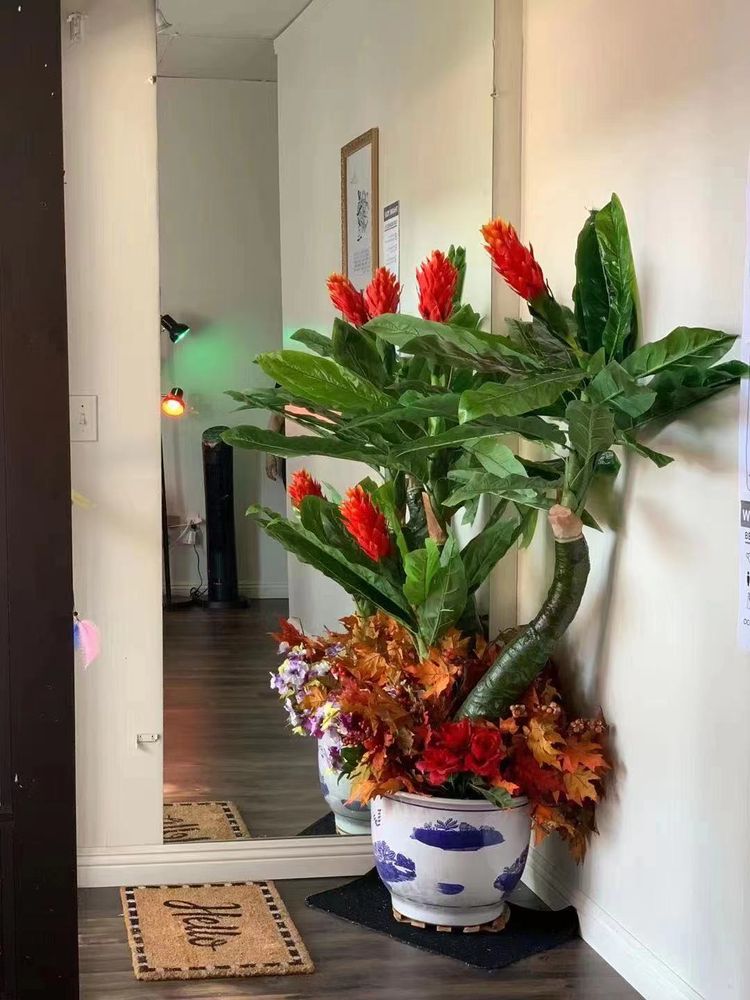 PANDORA SPA Updated October 2024 278 S La Cienega Blvd, Beverly