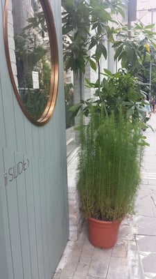 Grassroots Pantry by null