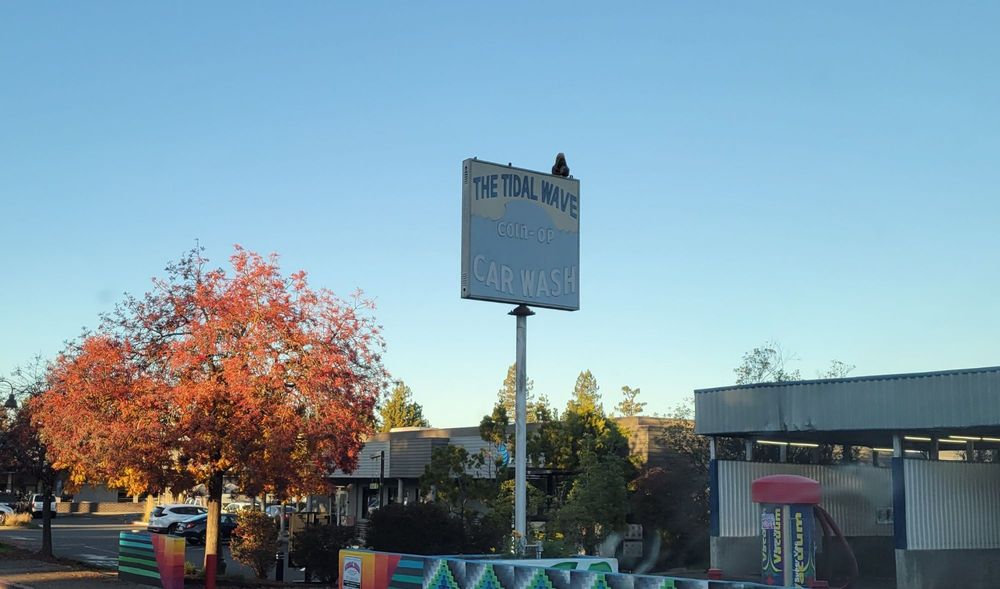 TIDAL WAVE CAR WASH Updated August 2024 10 Reviews 992