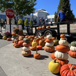 Central Park Plaza Market - Pumpkin galore