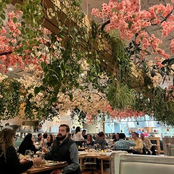 AMBAR Restaurant, Clarendon - Floral trellis ceiling - Modern European Near Me - Arlington, Virginia AMBAR Restaurant, Clarendon - Floral trellis ceiling - Modern European Near Me - Arlington, Virginia