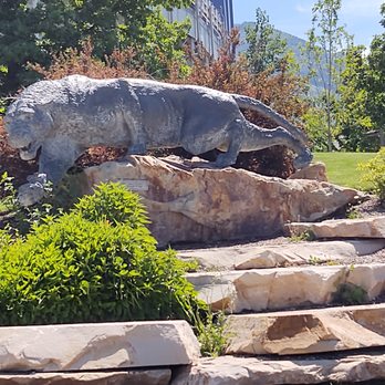 BYU - Brigham Young University - The Cougar - Colleges & Universities Near Me - Provo, Utah