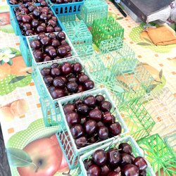 Cherries Sweet - There were more. I got the last 2 big baskets LOL! 8/29/21