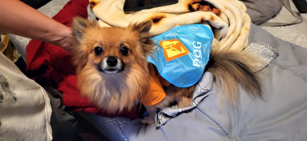 Slide of All Water and Sewer