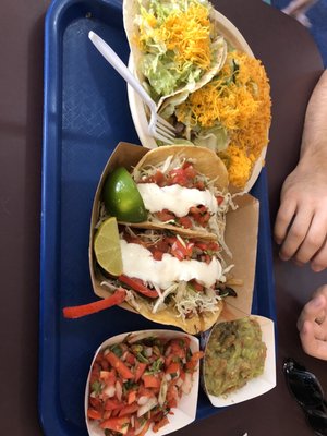 Taco Surf PB by null