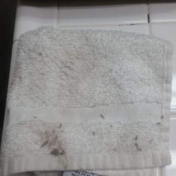 Laurel Inn & Conference Center - The face cloth I used to wipe the mold or filth off the trim in the bathroom. - Hotels Near Me - Salinas, California Laurel Inn & Conference Center - The face cloth I used to wipe the mold or filth off the trim in the bathroom. - Hotels Near Me - Salinas, California
