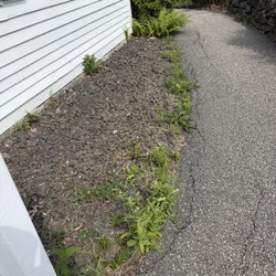 Spring Hill Inn - More weeds. Total neglect.