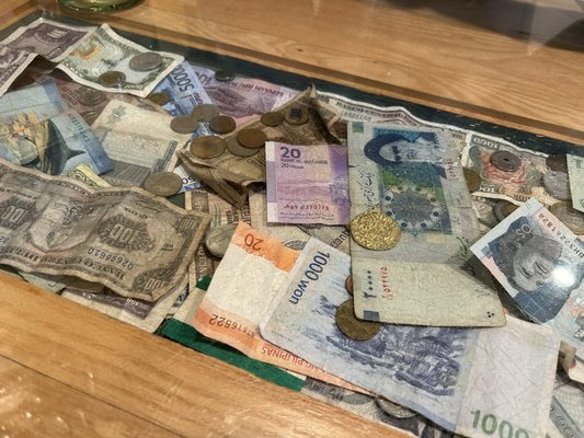 Osprey Café by null