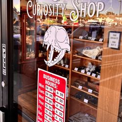 The Golden Curiosity Shop