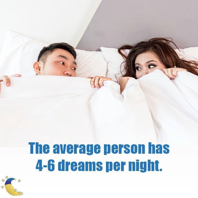 DREAM CITY MATTRESS Updated August 2024 1239 Erie Blvd W, Rome, New