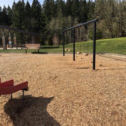 Fairgrounds Park - Big kid swings.
