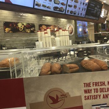 Wawa - What I saw when I looked up from ordering. - Convenience Stores Near Me - Cinnaminson, New Jersey