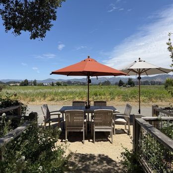 Saintsbury - Outdoor - Wineries Near Me - Napa, California