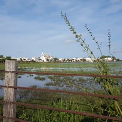 Aires de Doñana