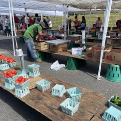 college park farmer's market at paint branch parkway
