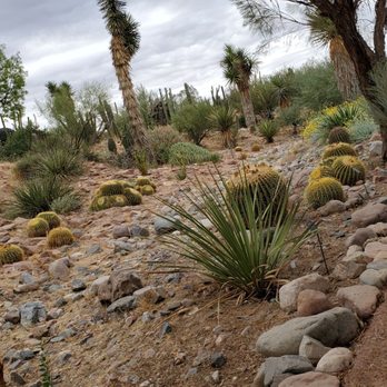 Boyce Thompson Arboretum - Botanical Gardens Near Me - Superior, Arizona Boyce Thompson Arboretum - Botanical Gardens Near Me - Superior, Arizona