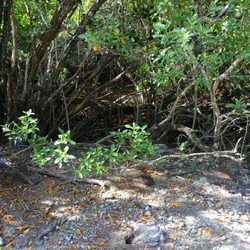 Florida Keys Wildlife and Environmental Area