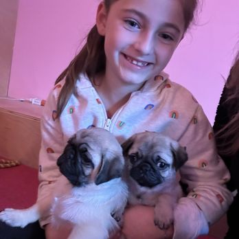 Cuppa Pug - Themed Cafes Near Me - Escondido, California