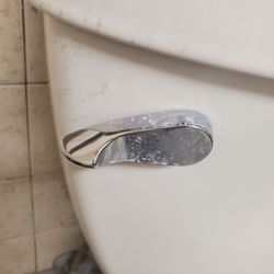 Safeway - I couldn't even flush the toilet bc of this...
