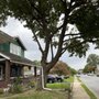 Photo of A.B.E Tree Service